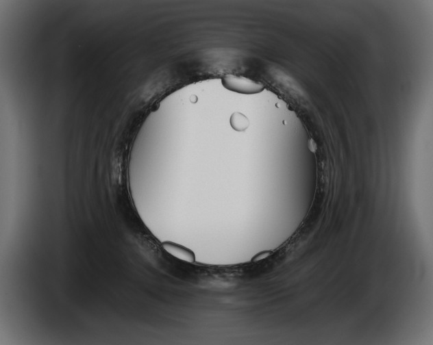 X0000086090368200704132131