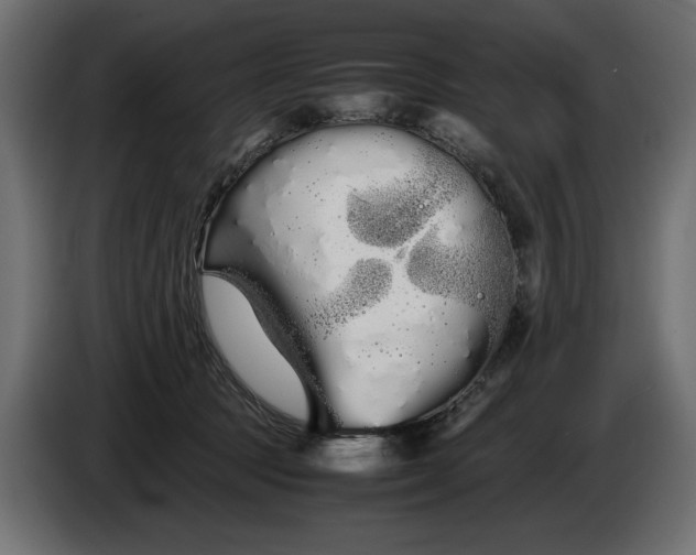 X0000086090369200704132131