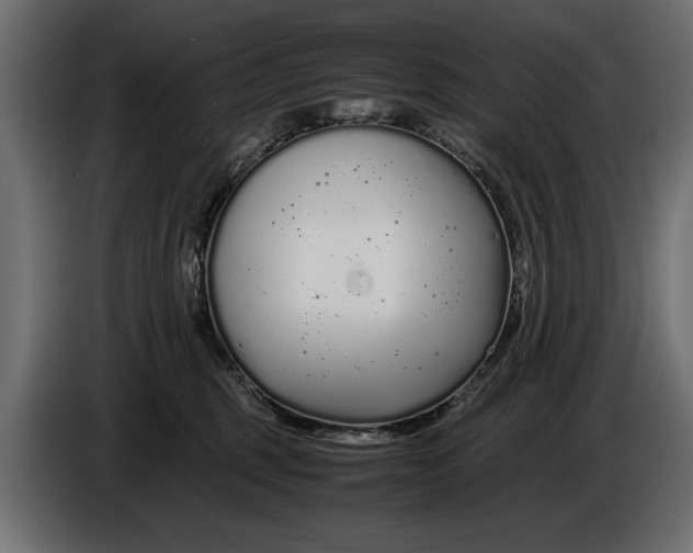 X0000086090375200704132131