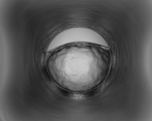 X0000086090376200704132131