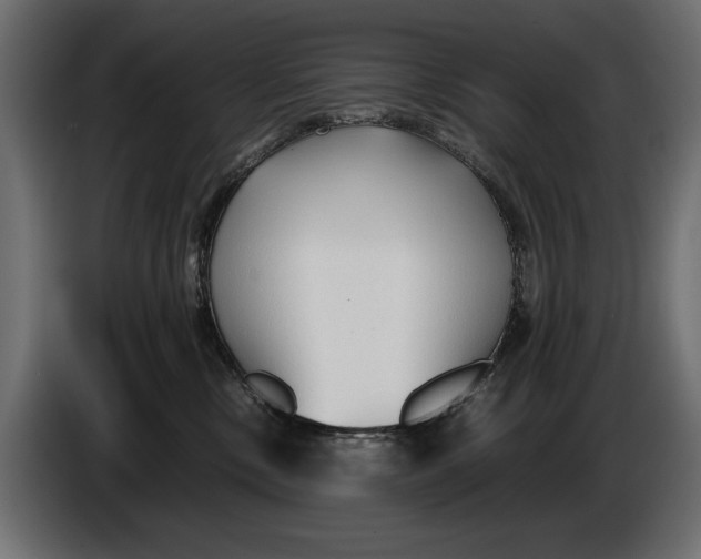 X0000086090378200704132131