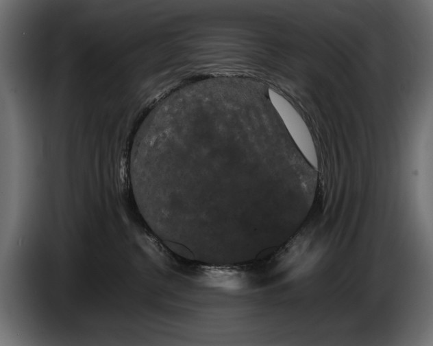 X0000086090380200704132131