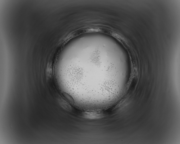 X0000086090381200704132131