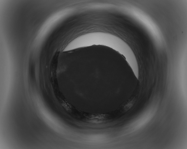 X0000086090382200704132131