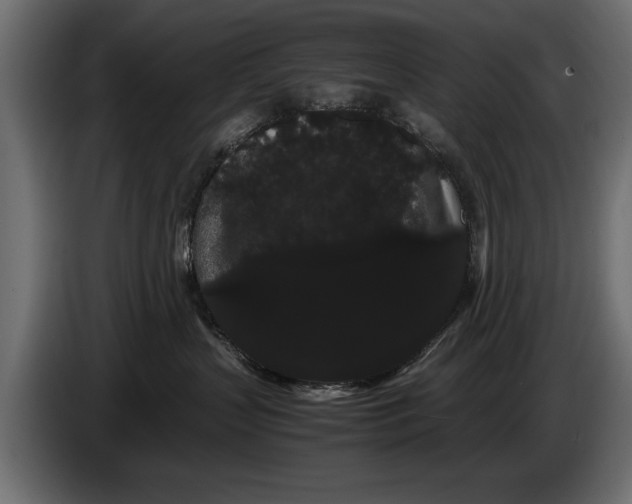 X0000086090383200704132131