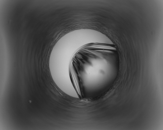 X0000086090384200704132131