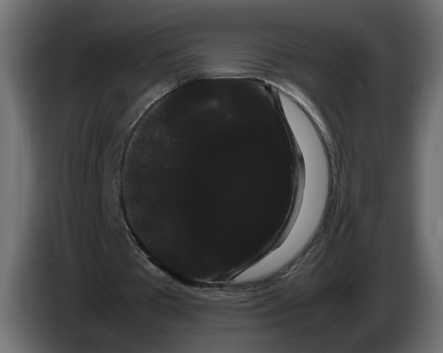 X0000086090385200704132130