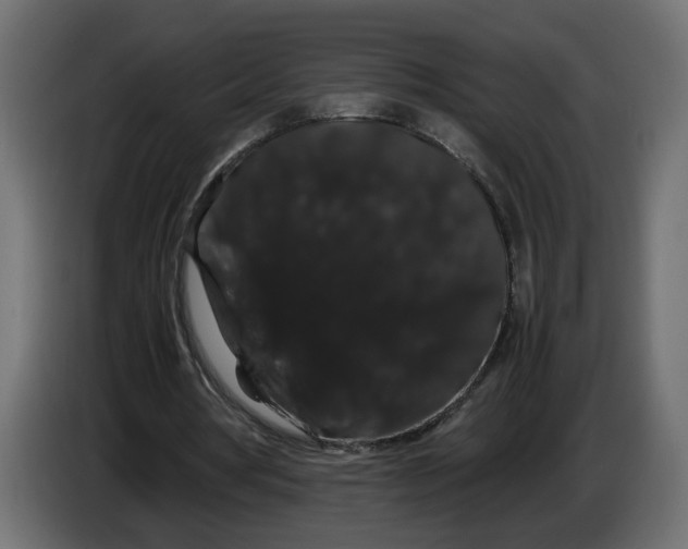 X0000086090386200704132130