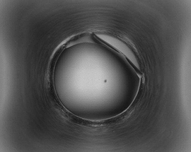 X0000086090388200704132130