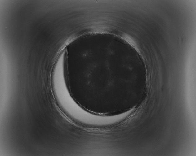 X0000086090389200704132130