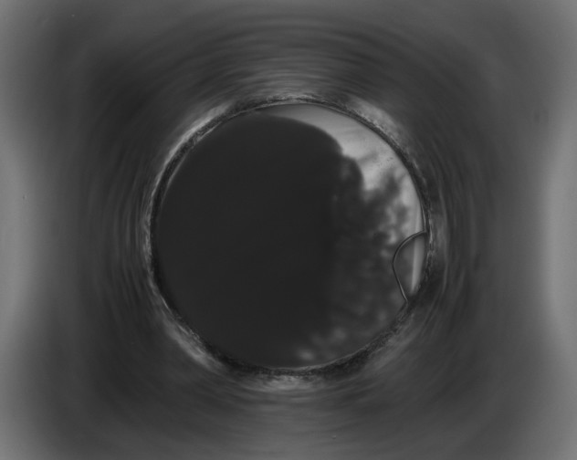 X0000086090390200704132130