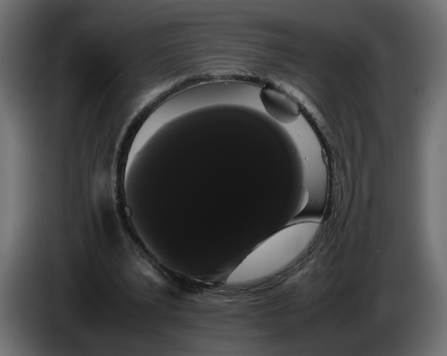 X0000086090391200704132130