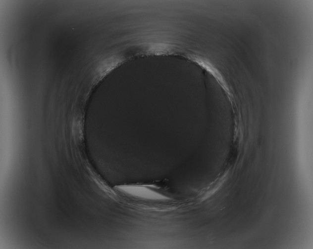 X0000086090393200704132130