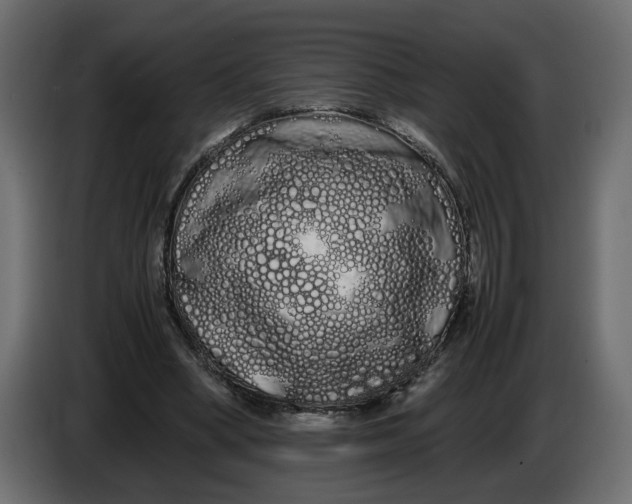 X0000086090394200704132130