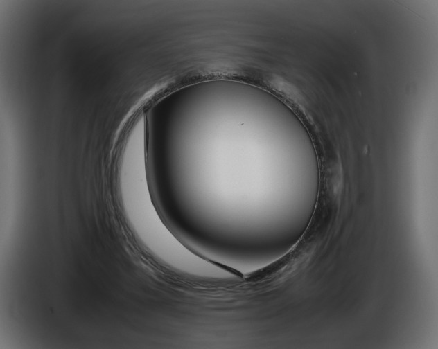 X0000086090395200704132130