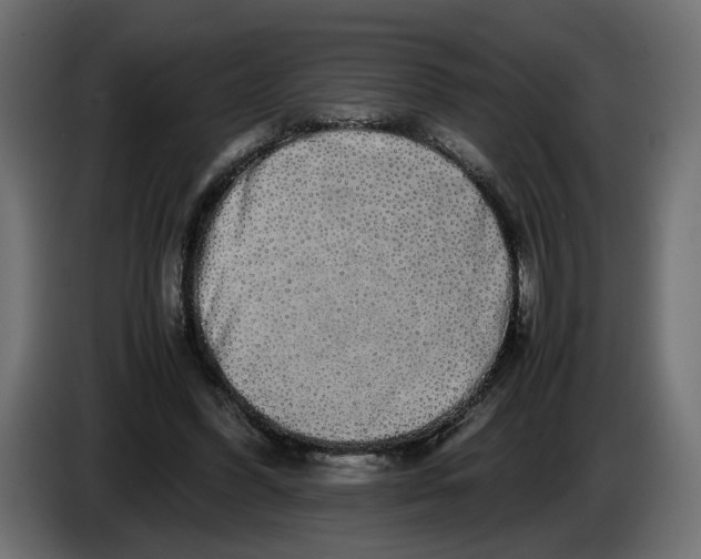 X0000086090396200704132130