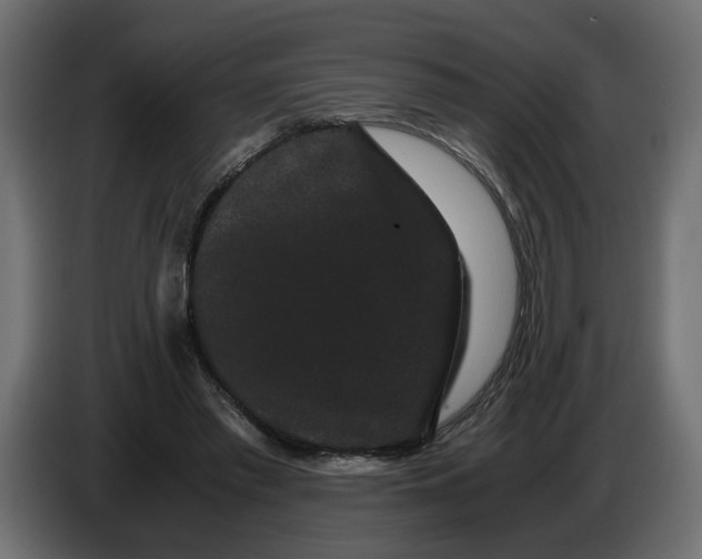 X0000086090397200704132130