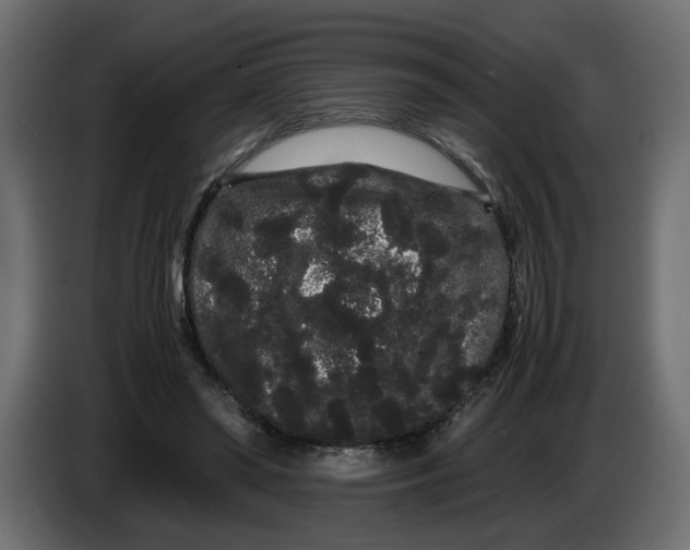 X0000086090398200704132130