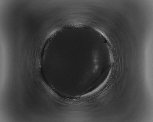 X0000086090399200704132130