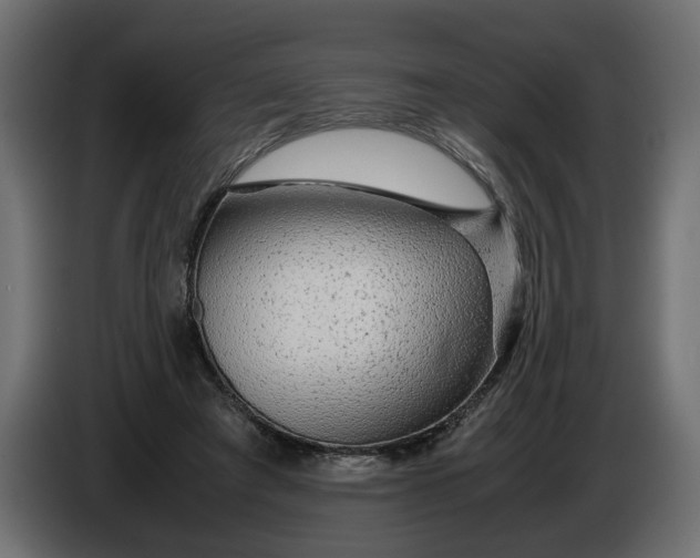 X0000086090401200704132130