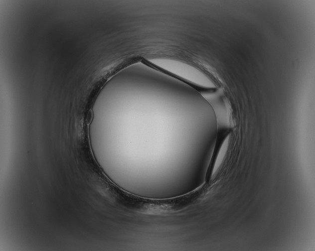 X0000086090403200704132130