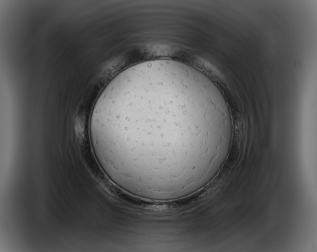 X0000086090406200704132130