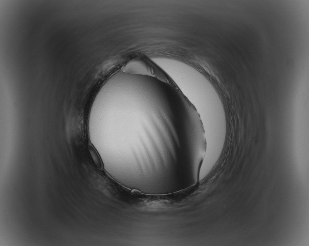 X0000086090407200704132130