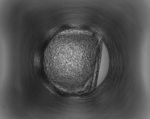 X0000086090408200704132130