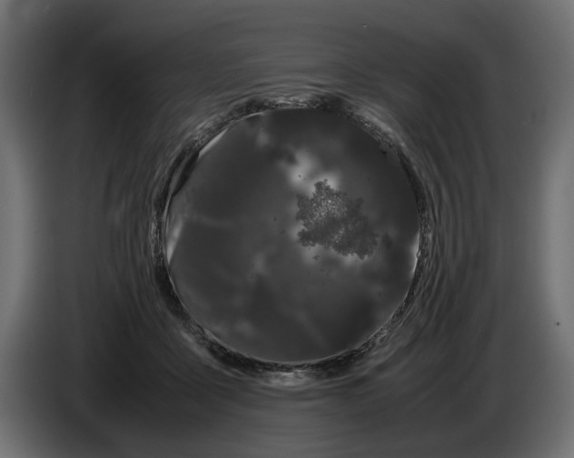 X0000086090411200704132130