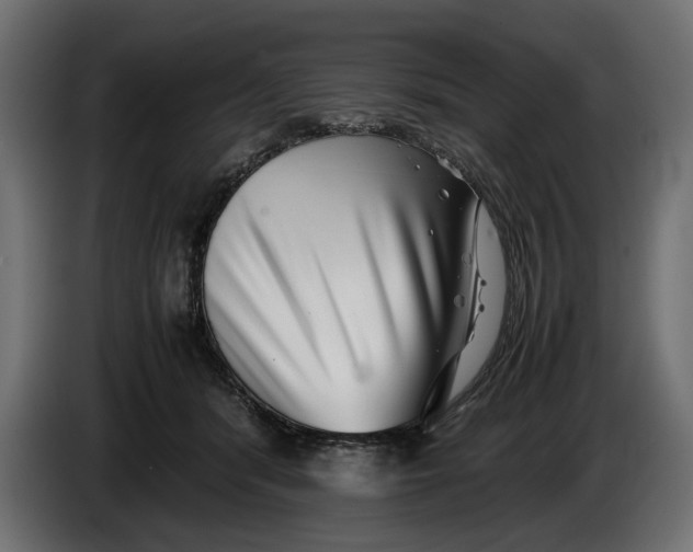 X0000086090416200704132130