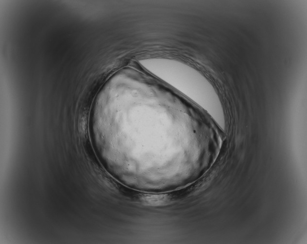 X0000086090417200704132130