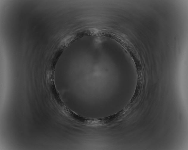 X0000086090419200704132130