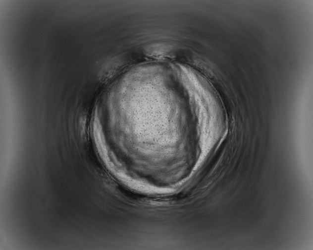 X0000086090420200704132130