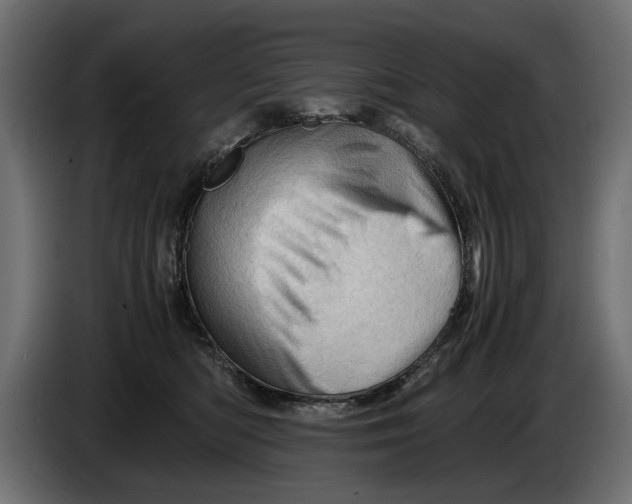 X0000086090422200704132130