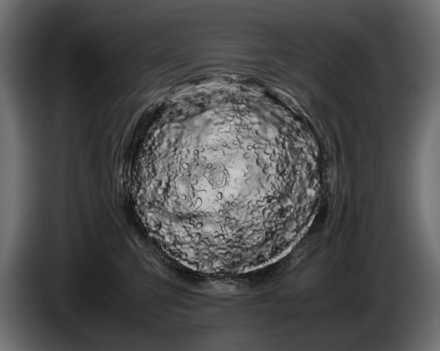 X0000086090423200704132130