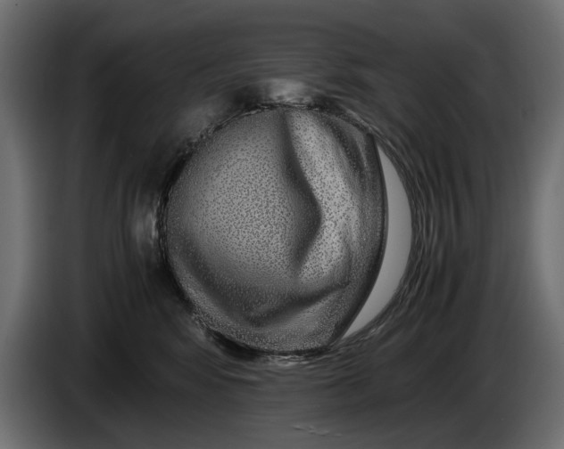 X0000086090424200704132130