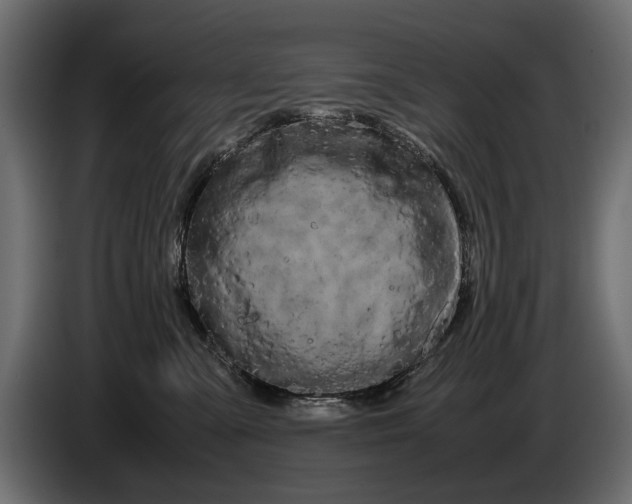 X0000086090427200704132129