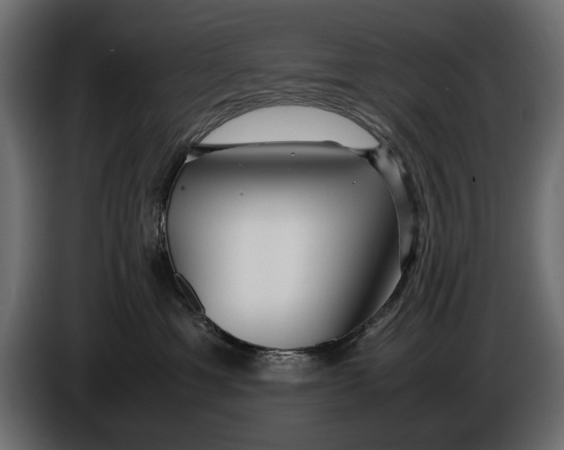 X0000086090429200704132129