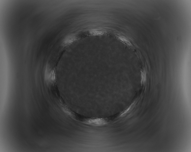 X0000086090431200704132129