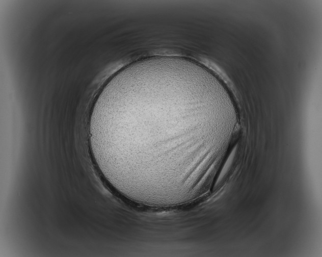 X0000086090433200704132129