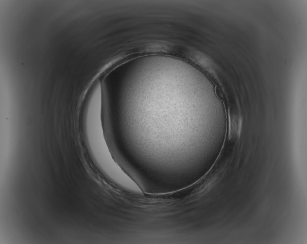 X0000086090435200704132129