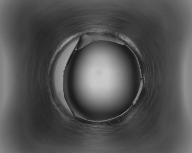 X0000086090436200704132129