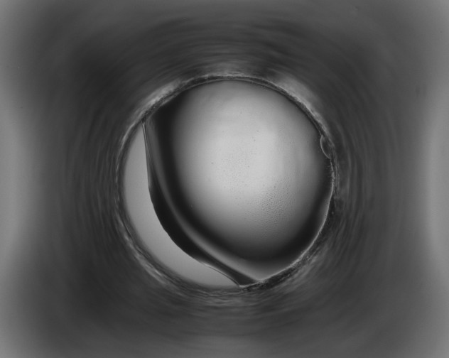 X0000086090437200704132129