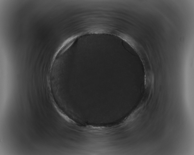 X0000086090438200704132129