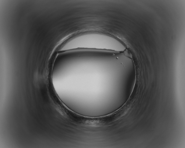 X0000086090440200704132129