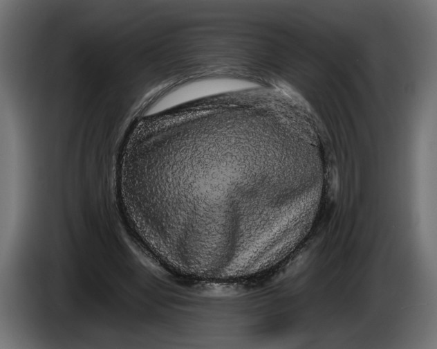 X0000086090442200704132129