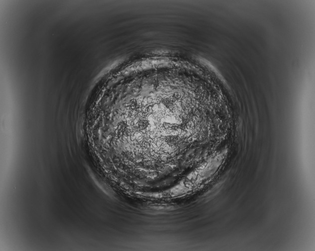 X0000086090443200704132129