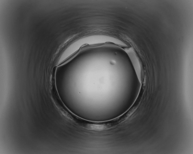 X0000086090444200704132129