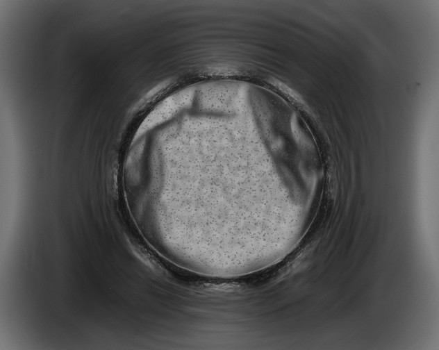 X0000086090446200704132129