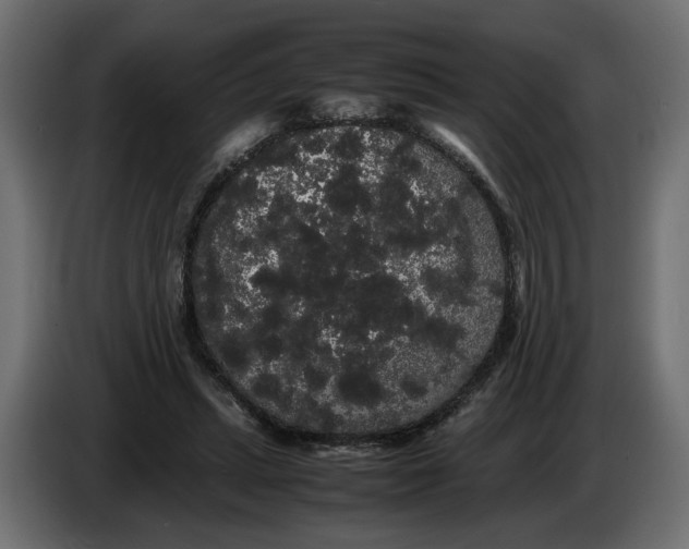 X0000086090447200704132129